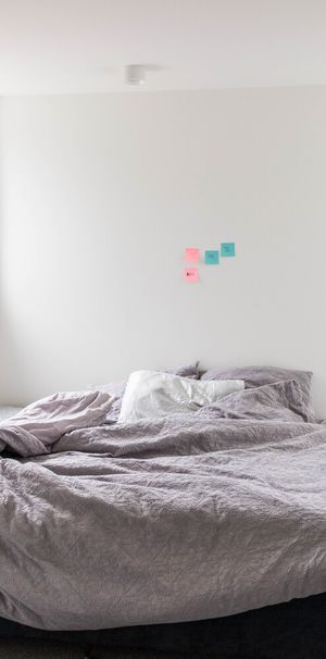 Brand new Studio Rooms on Malvern Street - Available for 2026 - Photo 1