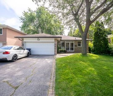 Amazaing spaciouse walk out bungalow in Willowdale! - Photo 3