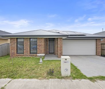 16 Dahlia Street, Bonshaw - Photo 5