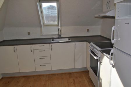 Dumpen - Photo 3