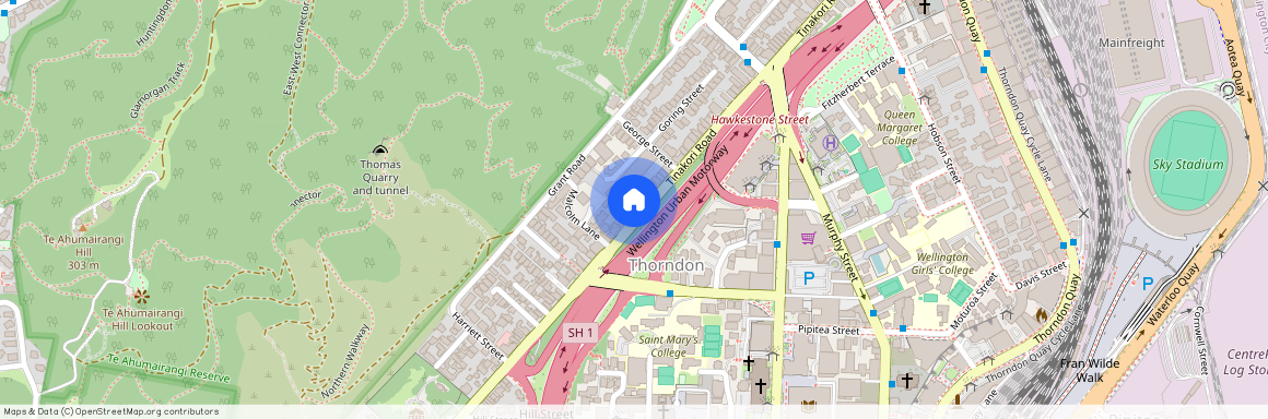 156 Tinakori Road, Thorndon, Wellington City