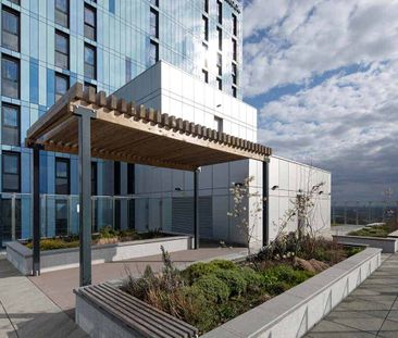 Bronze Studio (Standard Fitting) - Standard View | Lower Level - Photo 6