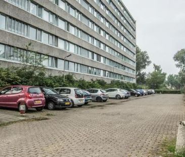 Zangvogelweg 3815 DL Amersfoort - Foto 1