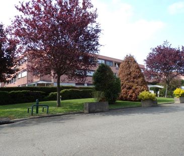 Location Appartement 1 pièce 39m² - Photo 4