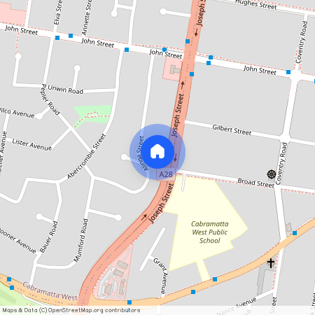 79 Joseph Street, NSW 2166, Cabramatta