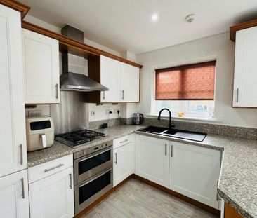 San Juan Court - Photo 5