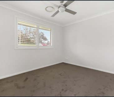 Spacious Renovated Home on a Large Block - Photo 1