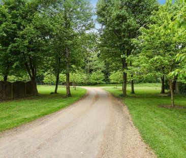 3 bedroom detached house to rent - Photo 2