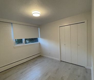 Camelia Court - Photo 1