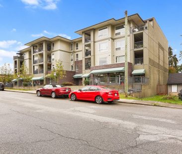 22334 117 Avenue apartment — Maple Ridge, BC (1-Bedroom) - 1 Bedroom - Photo 3