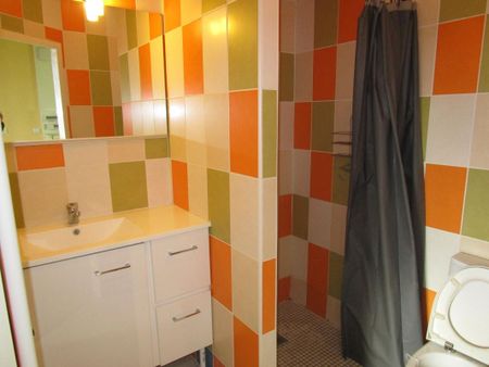 Location Appartement 1 pièce Meublé 20m² RISCLE 32400 - Photo 4