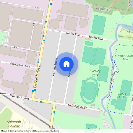 24A Merle St, 2162, Chester Hill Nsw