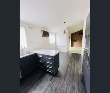 Spacious, Secluded and Renovated to Perfection! - Photo 3