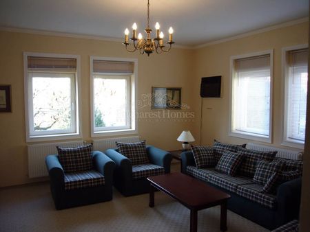 Massive Nine Bedroom Mansion with Very Private Grounds - Mogosoia - Photo 2