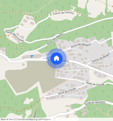 Aminona 3963, Aminona