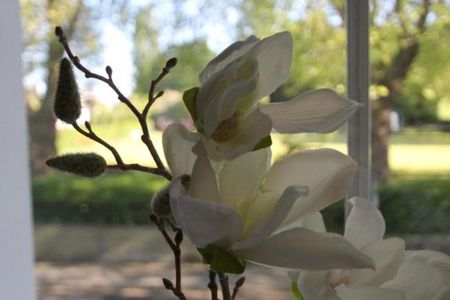 1 bedroom property to rent Tyrwhitt Road, Lewisham, London, SE4 - Photo 3