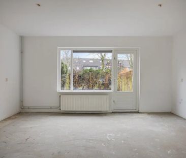 Zebraspoor 716 - Photo 1