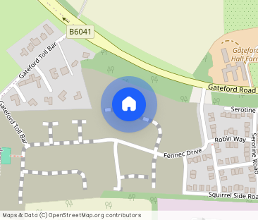 Swift End Close, Worksop S81 - Photo 1