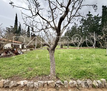 Ενοικίαση κατοικίας, 60 τ.μ., Δ. Κρωπίας, 650 € - Photo 1