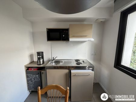 Location Appartement 3 pièces 44m² ALBI 81000 - Photo 2