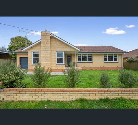 13A Somerville St, Flora Hill, Vic 3550 - Photo 3
