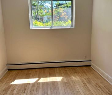 Studio chauffé à louer incluant 5 électroménagers à Ahuntsic - Photo 2