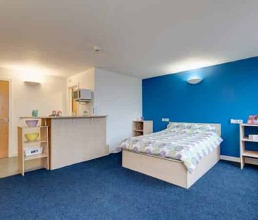 Premier Dual Studio - Photo 4