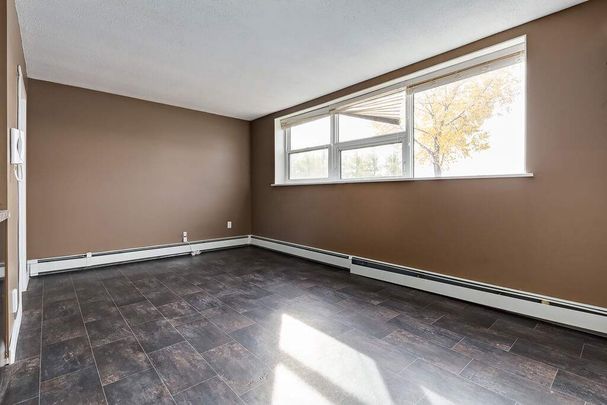 Renovated Suite - 2 Bedroom - Photo 1
