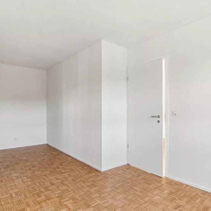 Bel appartement de 3.5 entièrement rénové ! - Foto 1