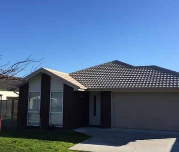 Lovely 4 bedroom home in Renwick - Photo 5