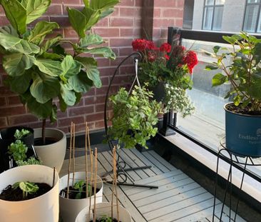 For Lease - 10 Pantheon Lane, Markham, Ontario - Photo 4