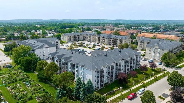 For Lease - 1421 Walkers Line Unit# 207, Burlington, Ontario - Photo 1