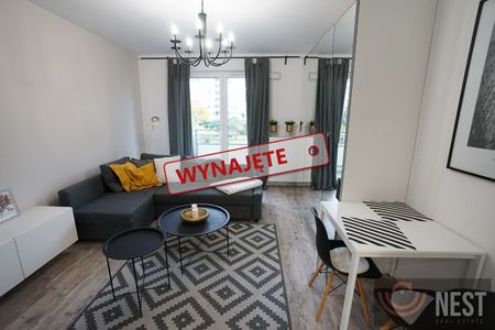 Ornament: kawalerka - Zdjęcie 2