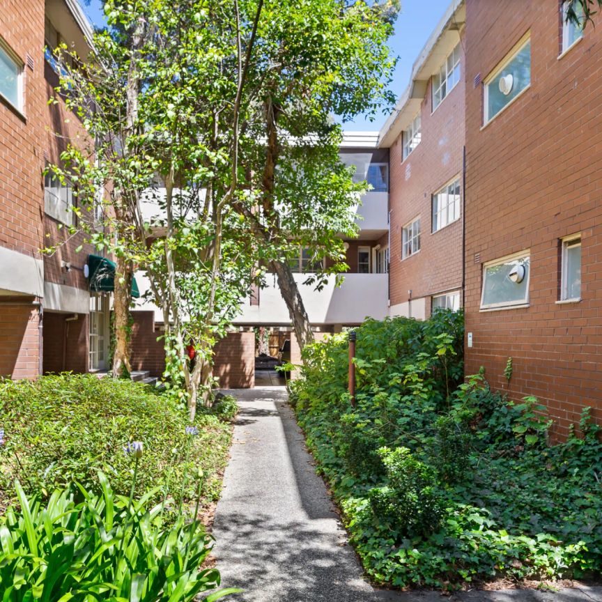 Apartment Oasis! - Photo 1