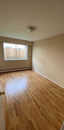 1 Bedroom Suite Vacancy - Photo 1