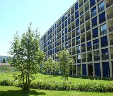 Ultra-modern living studio in loft style - Photo 5