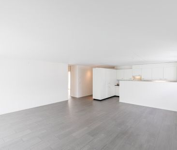 2.5 Zimmer, 63 m², EG - Photo 1