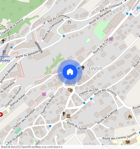 Route des 4 Chalets 17 1854 Leysin