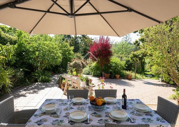 O Rosal, Galicia 36760