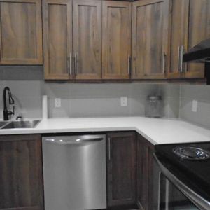 5 ½ Rénové Papineau et Louvain Montréal LIBRE - Photo 2