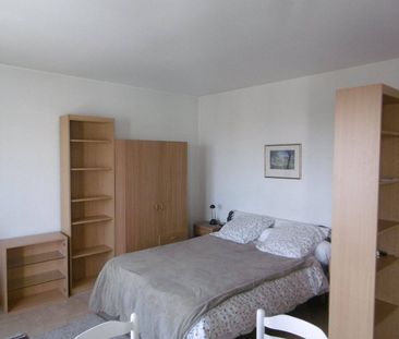 Appartement 1 pièce à louer - Photo 3