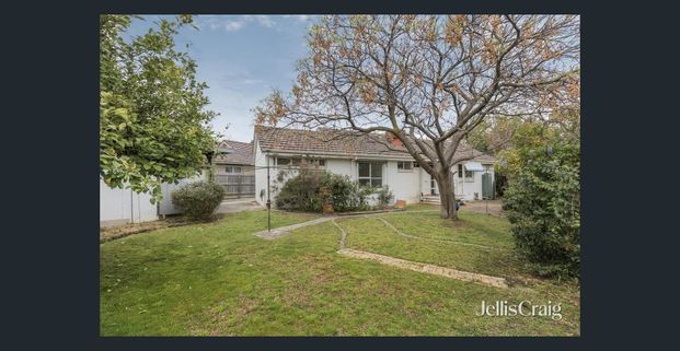 Fully Updated 4 Bedroom Single Level Home - Photo 1