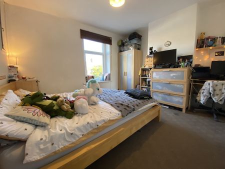 Daniel Street, Cathays - Photo 4