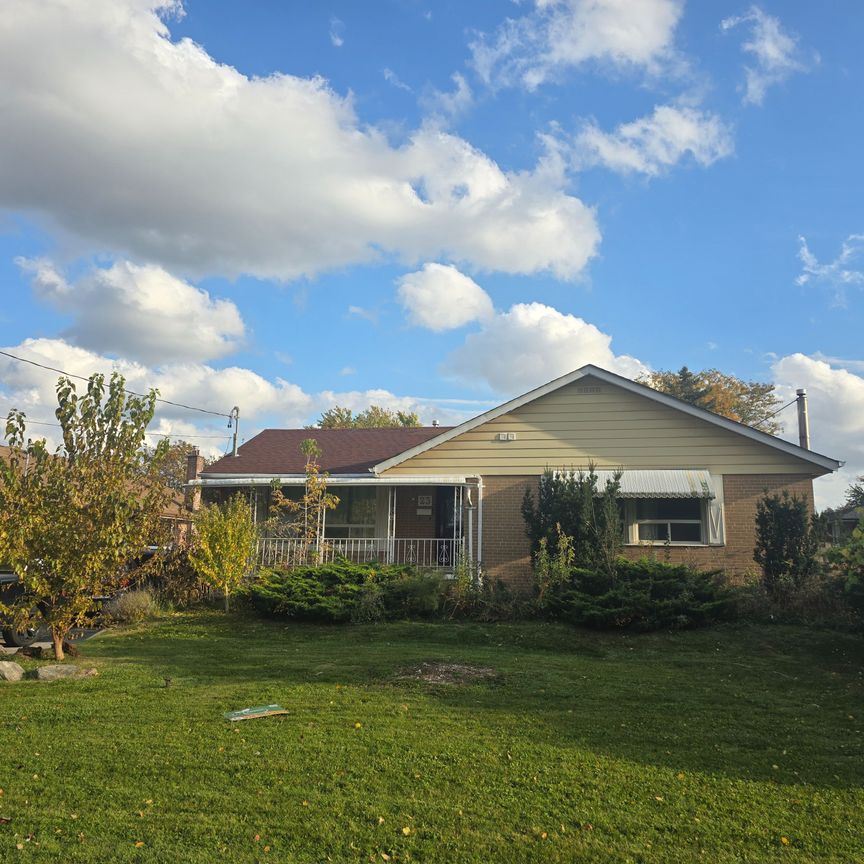 For Lease - 23 Maldaver Avenue, Mississauga, Ontario - Photo 2