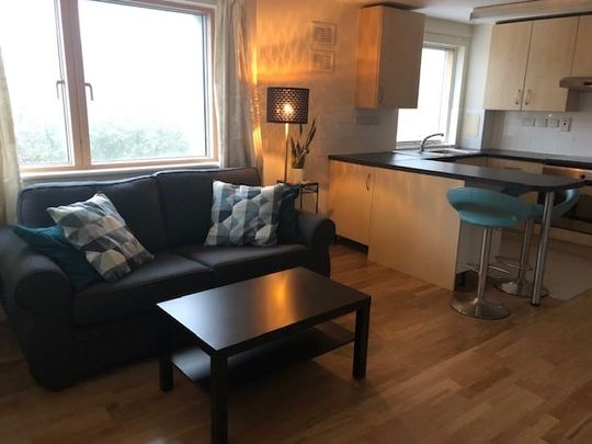 1 Bed Flat, Erin Court, NW2 - Photo 1