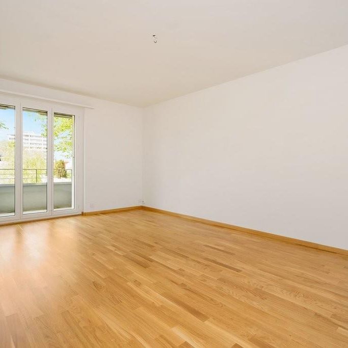 Familien- / WG-Wohnung zu Vermieten - Foto 1