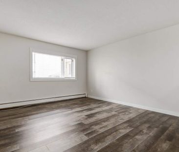 Renovated Suite - 2 Bedroom - Photo 3