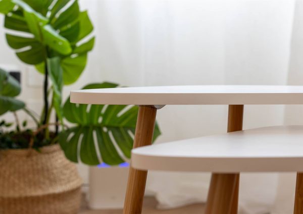 Appartamento in Affitto Città Giardino