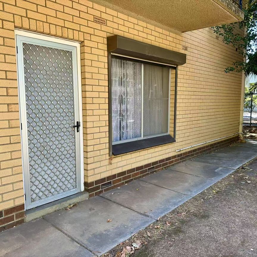5/89 William Street, Norwood SA 5067 - Apartment For Rent | Domain - Photo 1