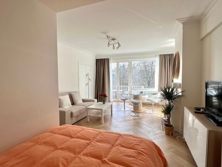 Avenue Louise, 1050, Ixelles - Photo 2